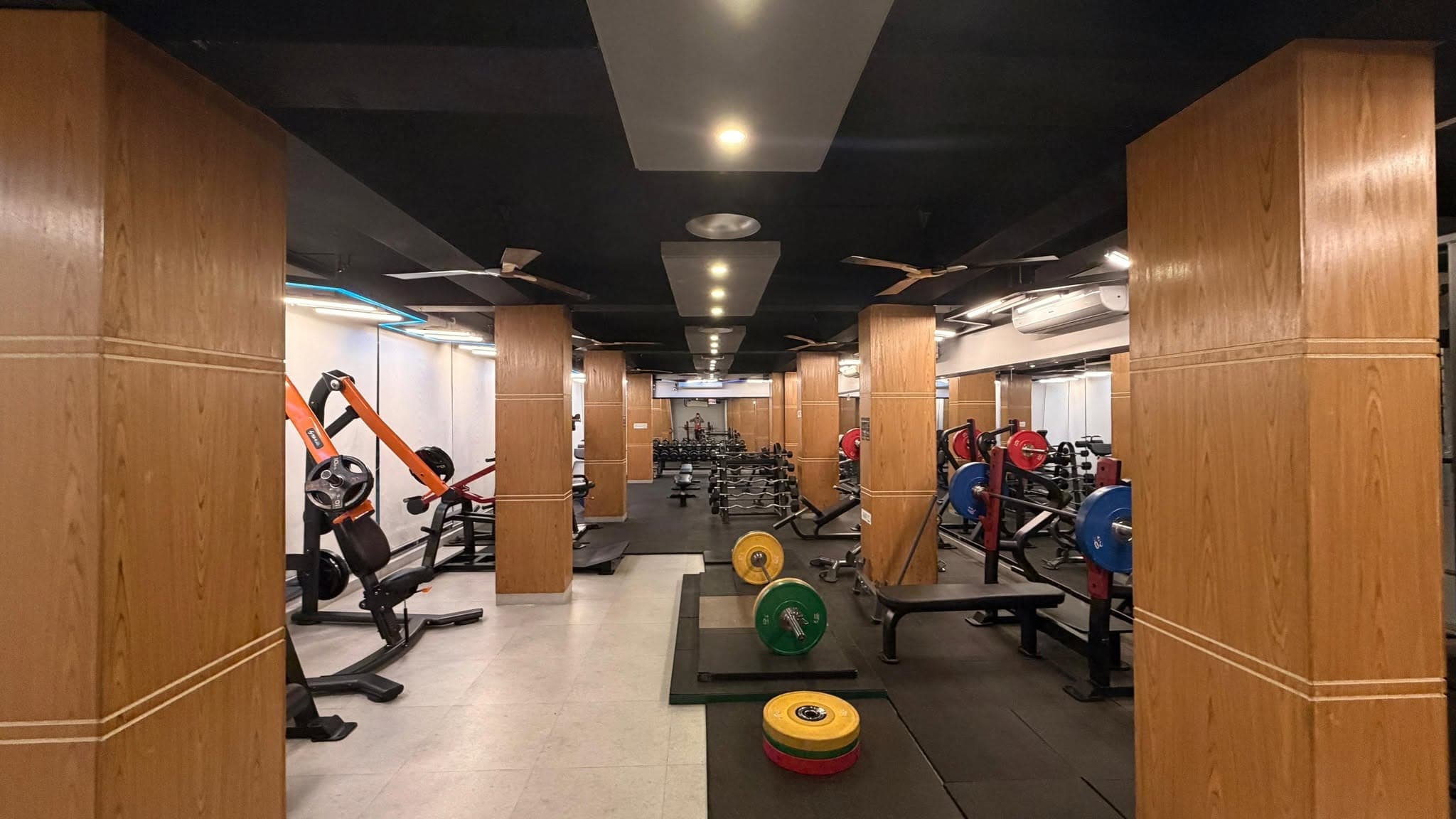 Deadlift & Bench Stations